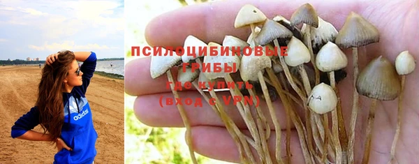 прущая мука Абинск
