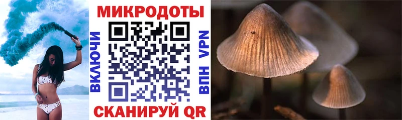 Галлюциногенные грибы Psilocybine cubensis  Мосальск 